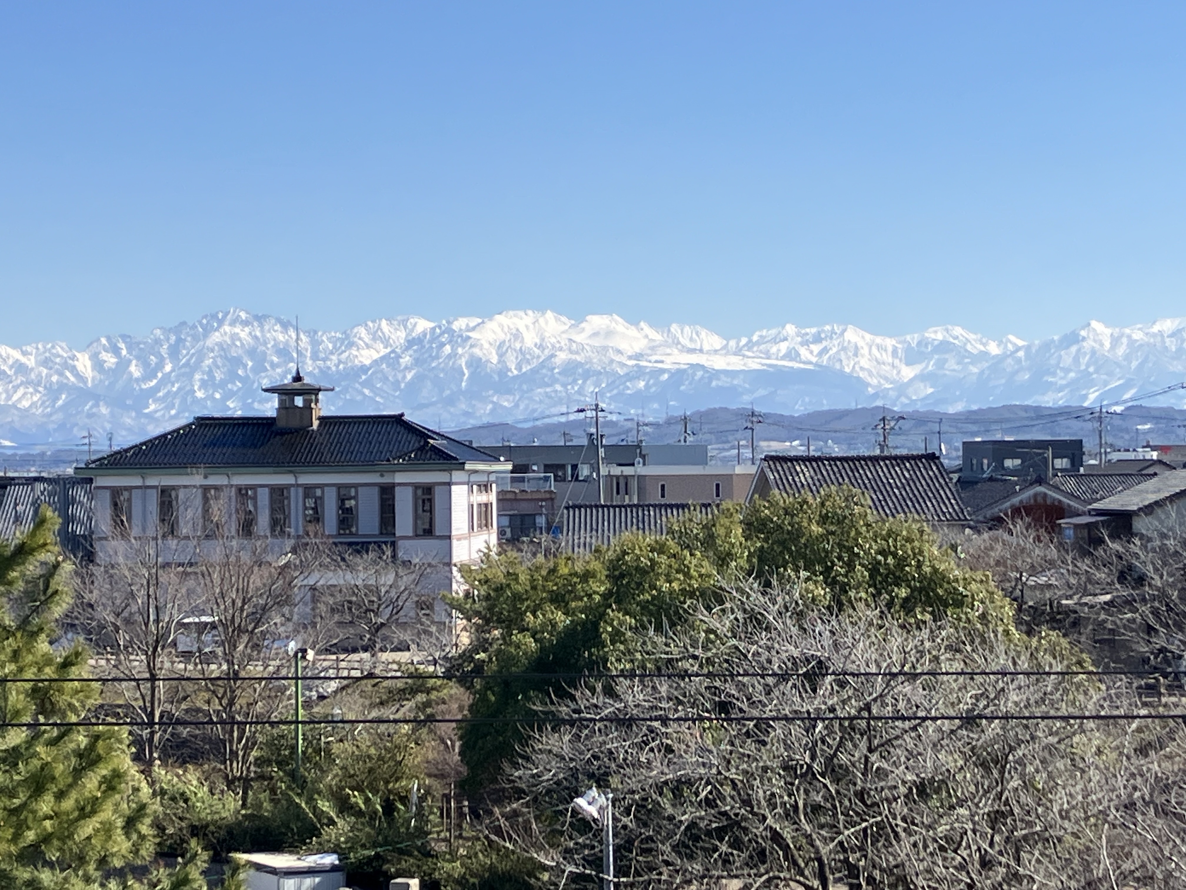 お医者さんも『歎異抄』を学ばれています